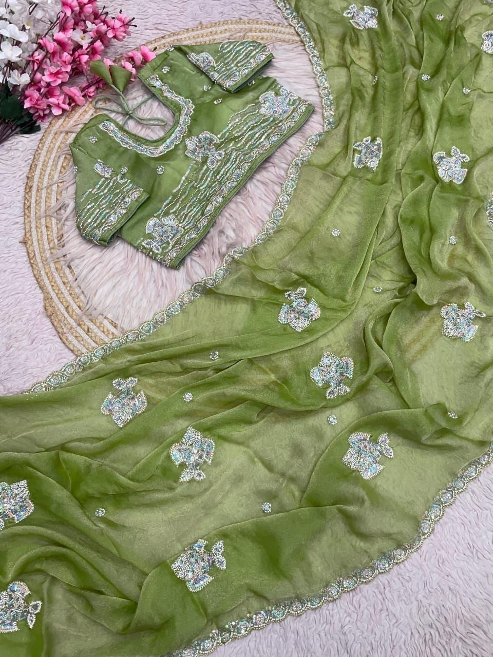 Pista Sitara Embellished Saree