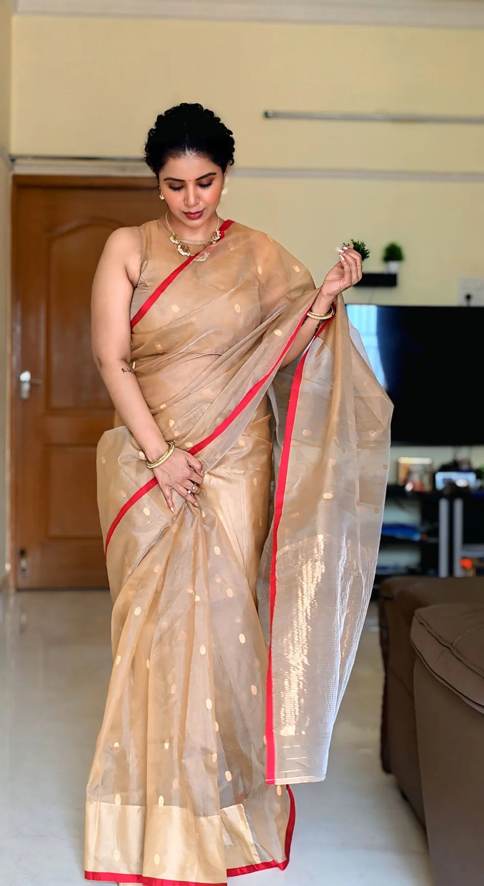 Royal Chanderi Silk Saree with Gold Zari Bootis