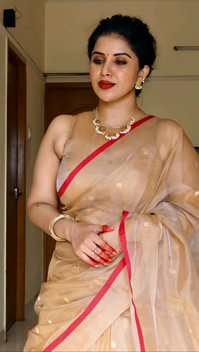 Royal Chanderi Silk Saree with Gold Zari Bootis