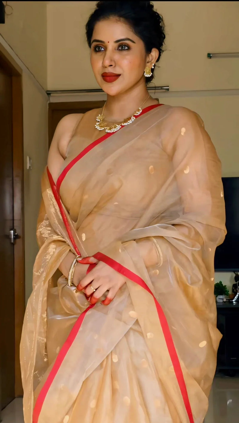 Royal Chanderi Silk Saree with Gold Zari Bootis
