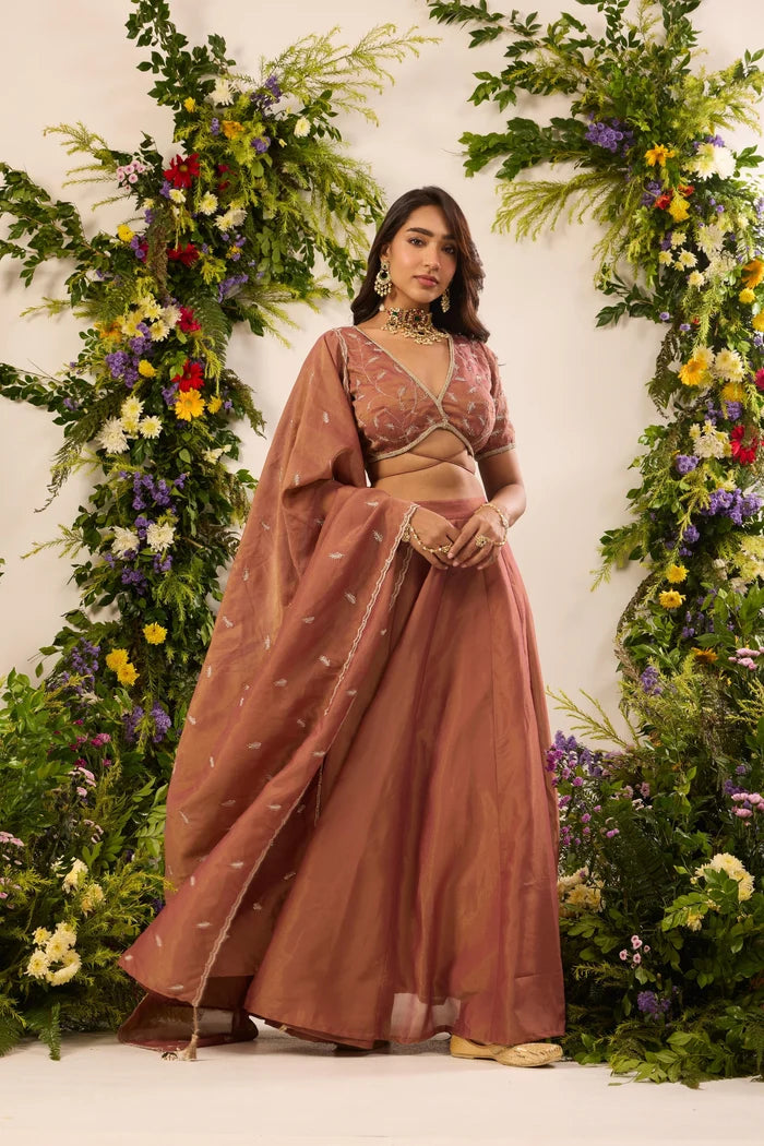 Cinnamon Sheen Embroidered Lehenga Set