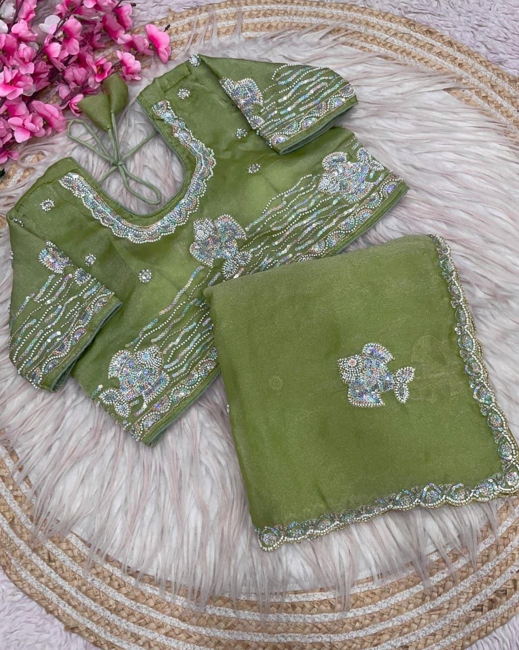 Pista Sitara Embellished Saree