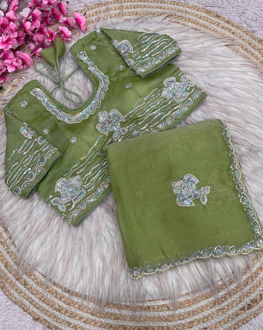 Pista Sitara Embellished Saree