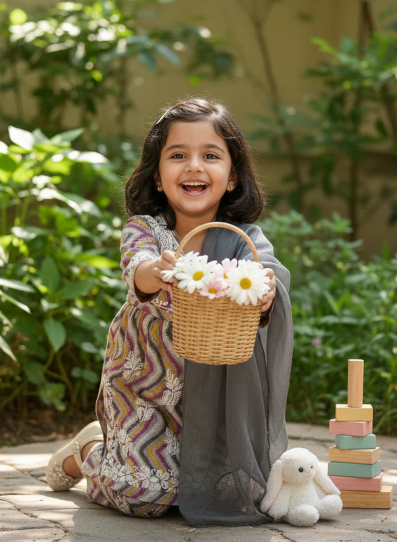 Chikankari Nanhe Farishtey Kidswear Set