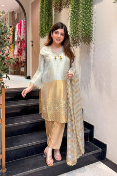 Gold Hand Embroidered Shimmer Tissue Suit Set