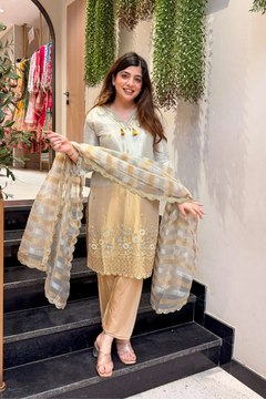 Gold Hand Embroidered Shimmer Tissue Suit Set