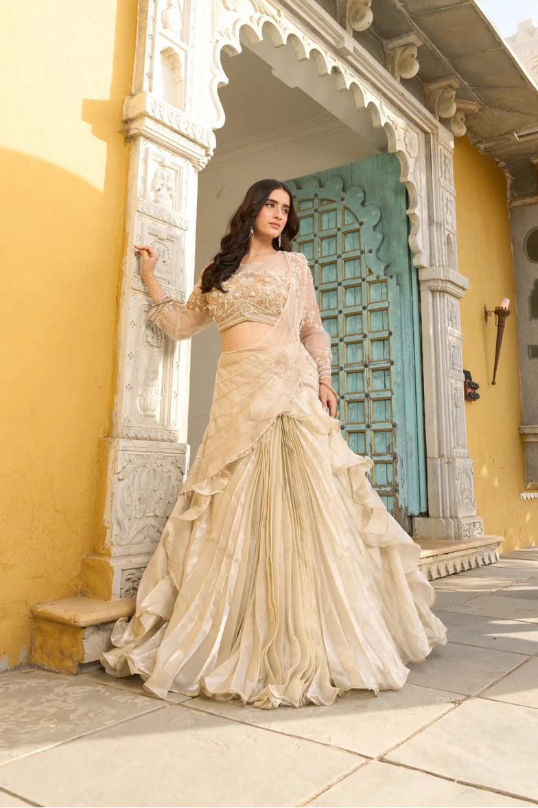 Noor Cream Net Pre-Draped Saree with Moti & Stone Work Blouse
