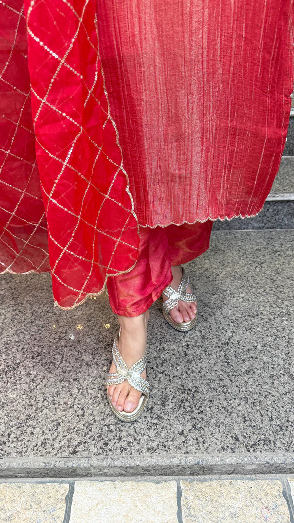 Paro Classic Anarkali Suit
