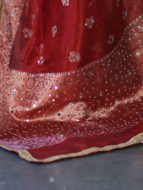 Rani Darbar Banarasi Tissue Saree