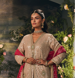 Regal Spark Indo-Western Lehenga