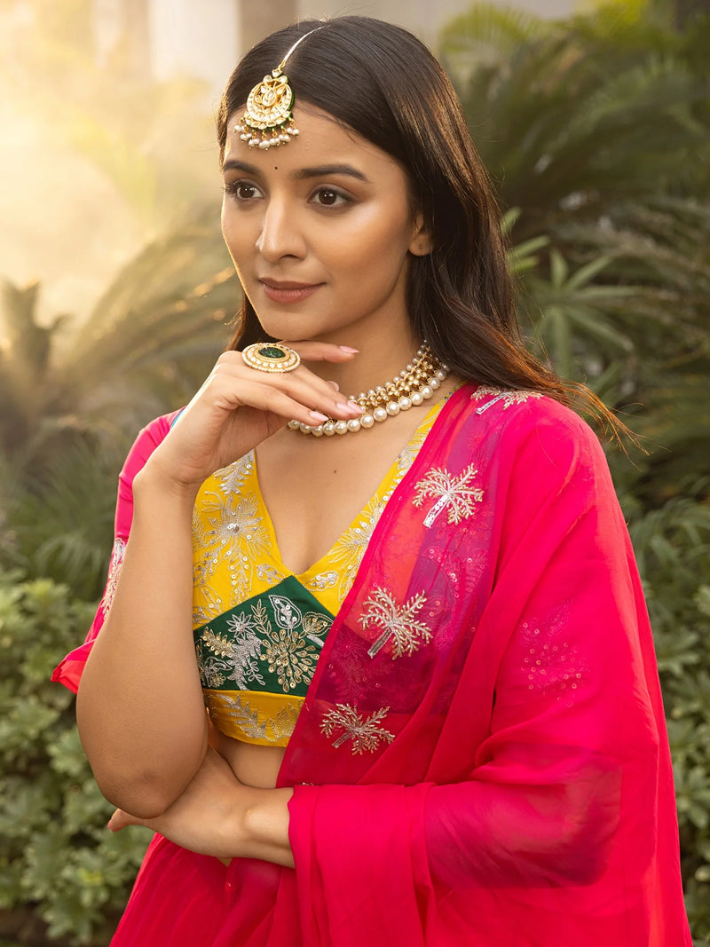 Pink Organza Handwork Saree Elegance