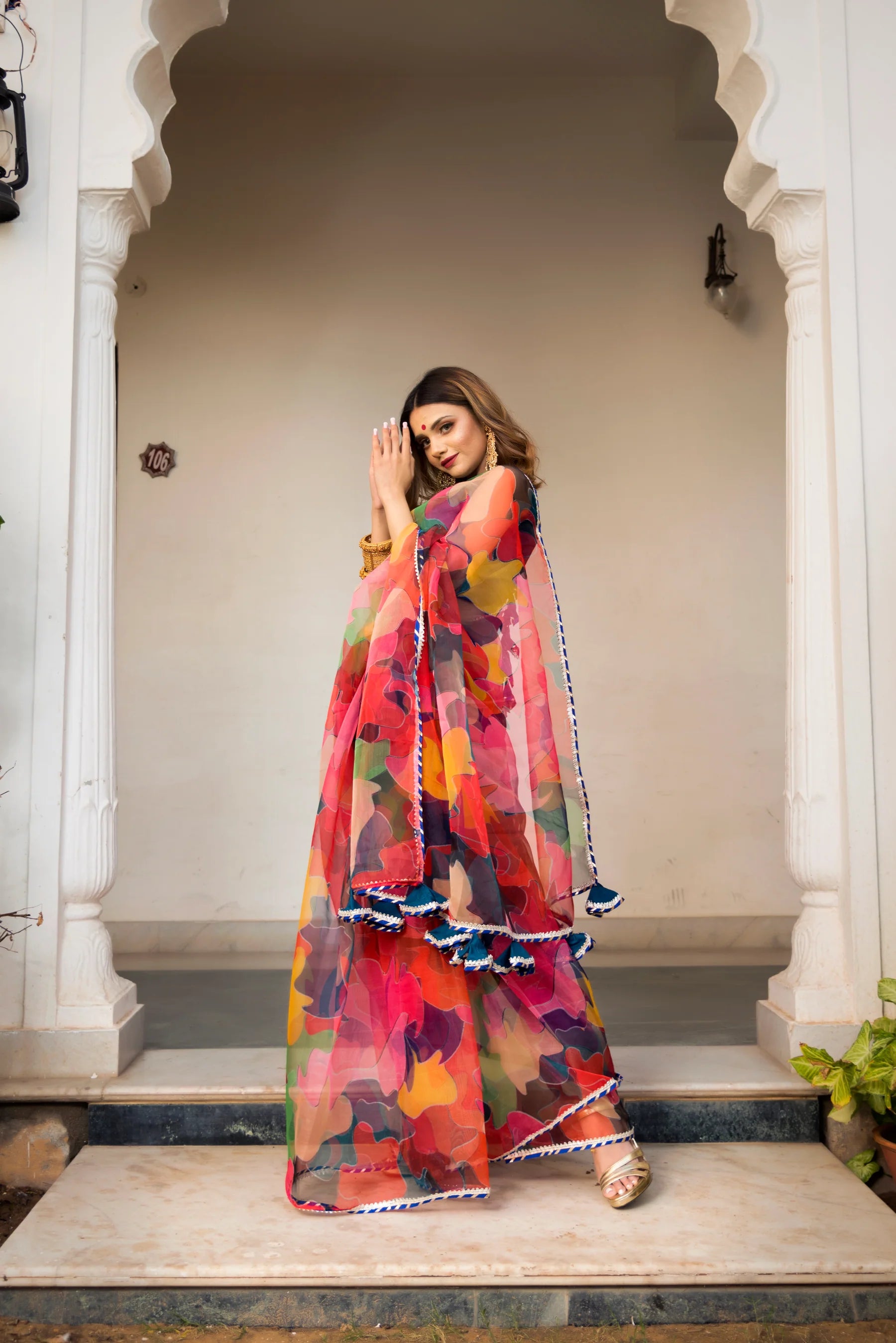 organza saree with blouse