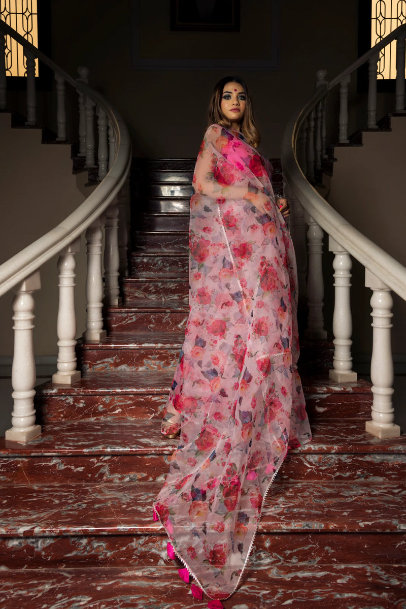 Organza silk saree with blouse