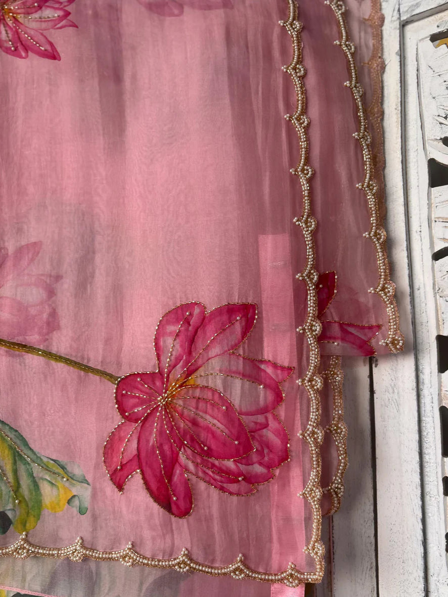 Hand embroidered organza saree