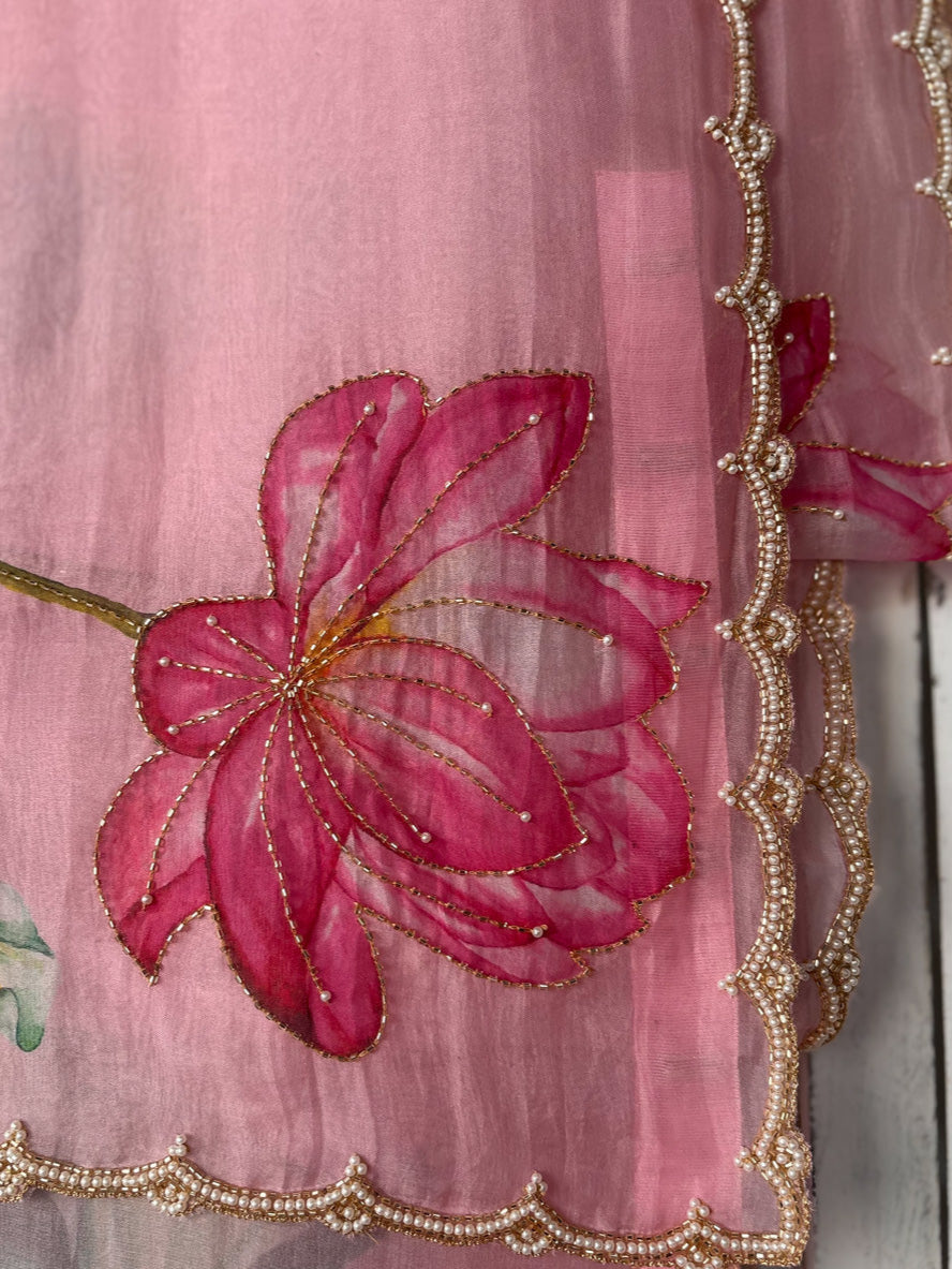 Cut-dana embroidery saree