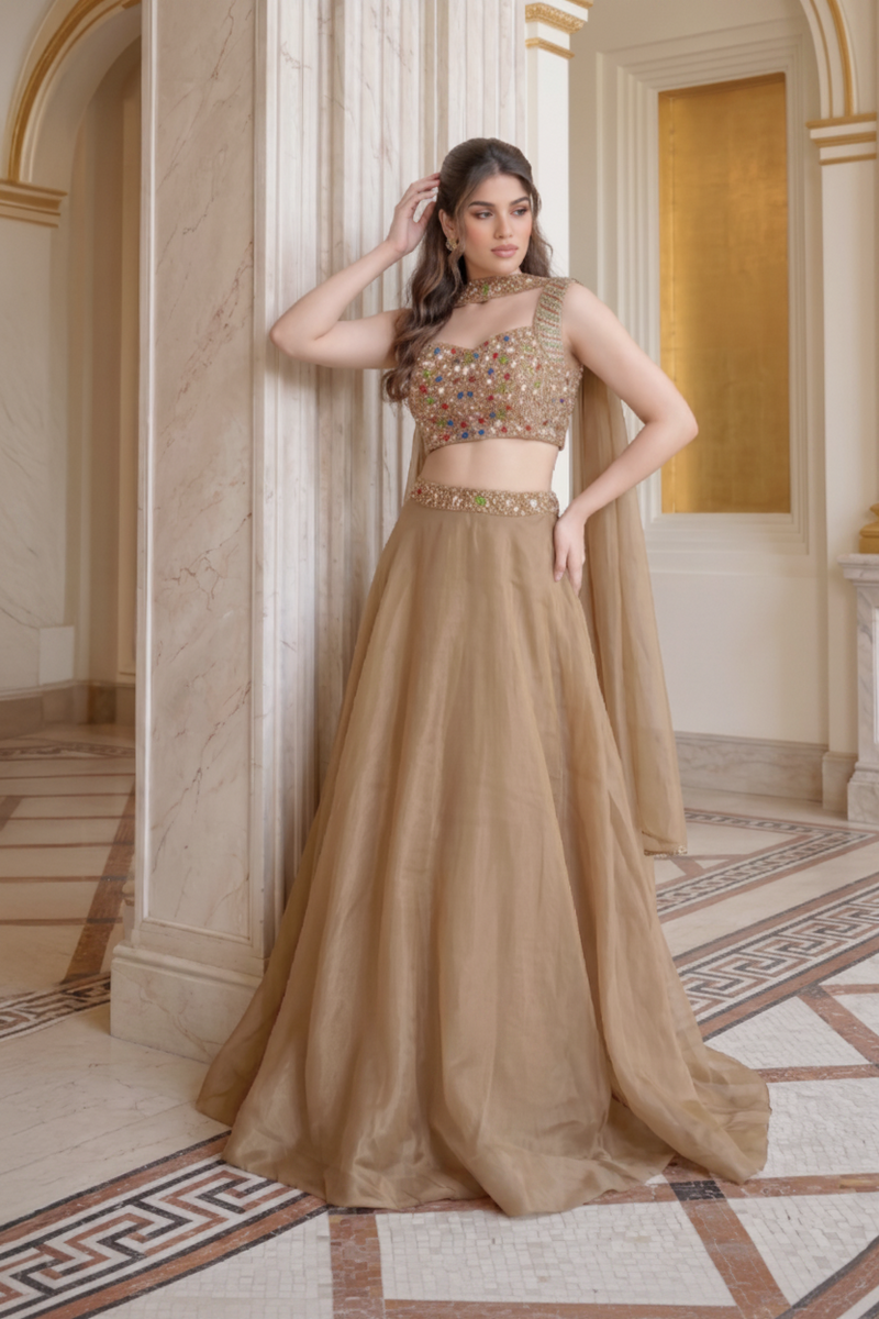 Champagne Gold Embellished Lehenga with dupatta