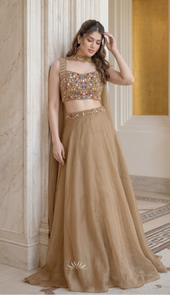 Champagne Gold Embellished Lehenga with dupatta