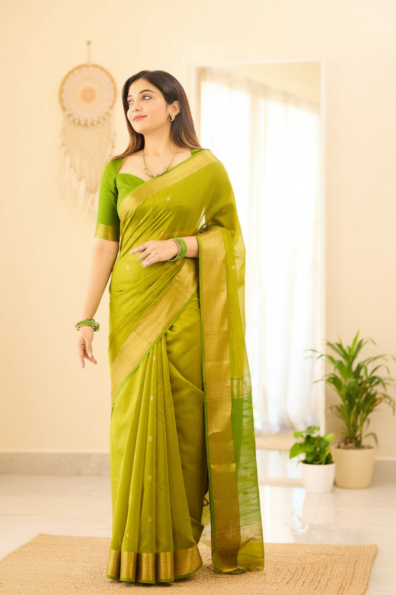 Maheshwari Silk Handloom Cotton Saree