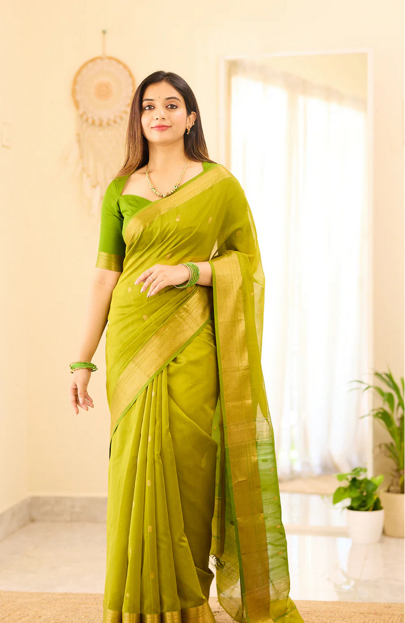 Maheshwari Silk Handloom Cotton Saree