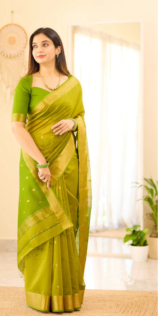 Maheshwari Silk Handloom Cotton Saree