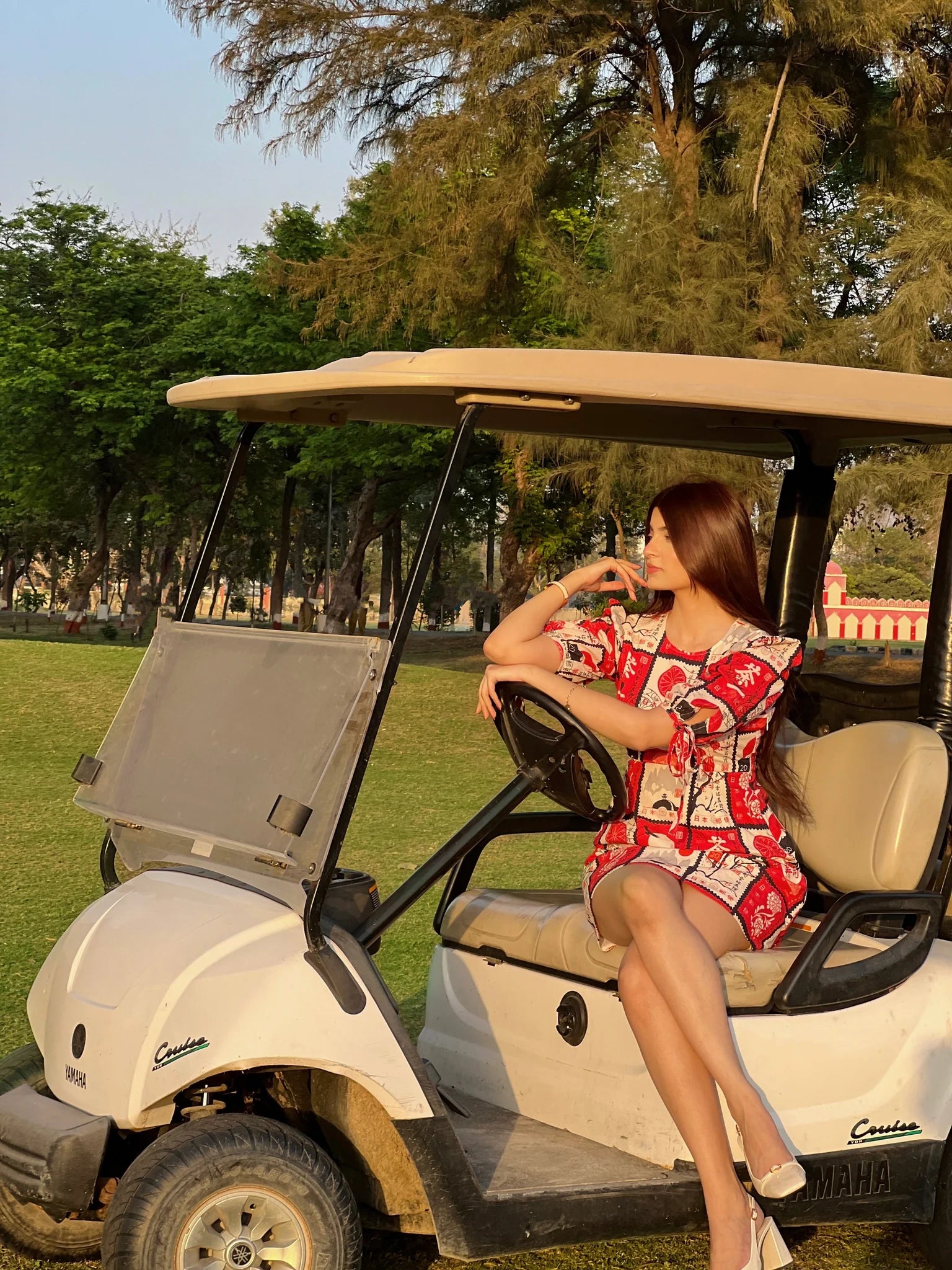 Japanese print dress