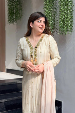 Embroidered Straight Kurta Set with Dupatta Mirror Detailing Suit Set