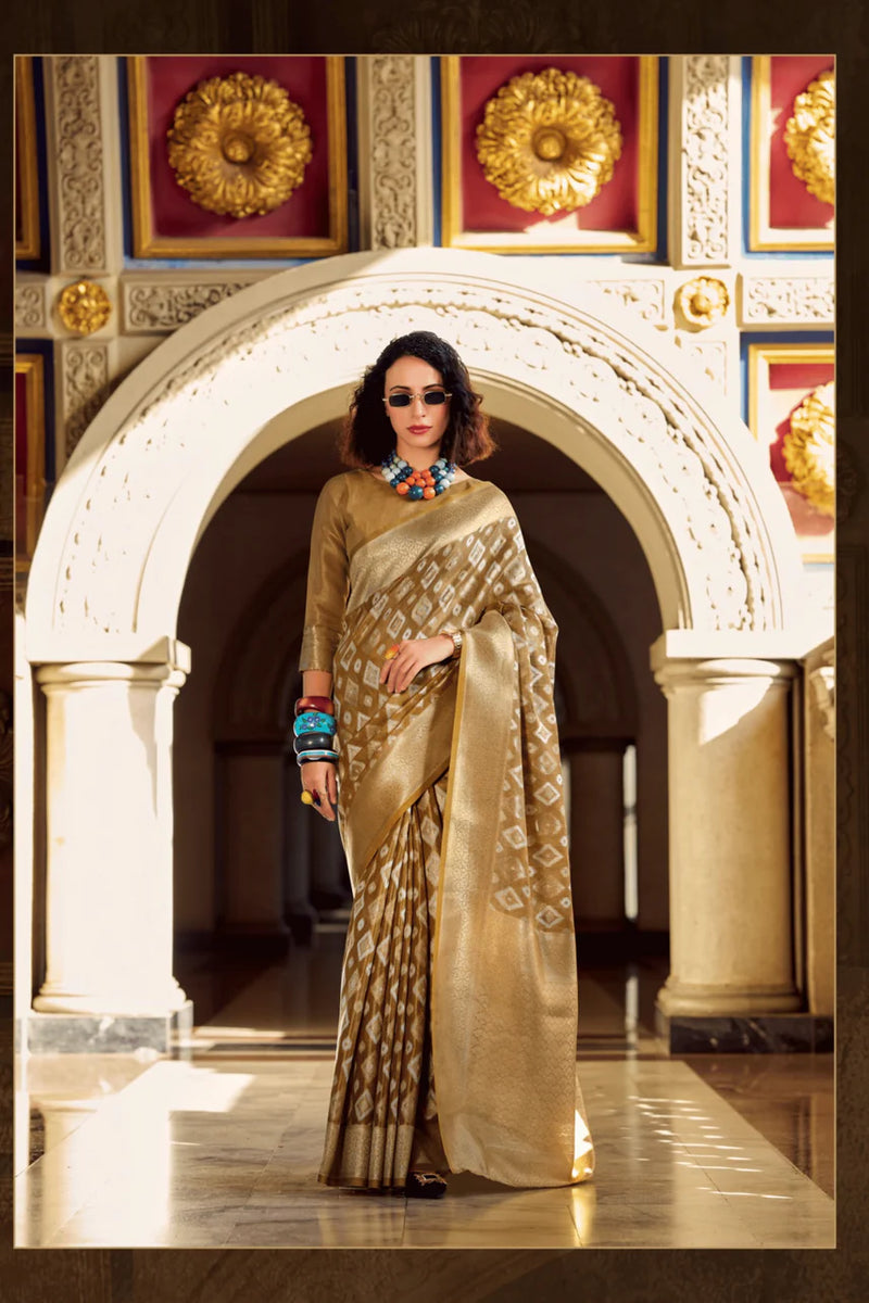 pre-pleated saree