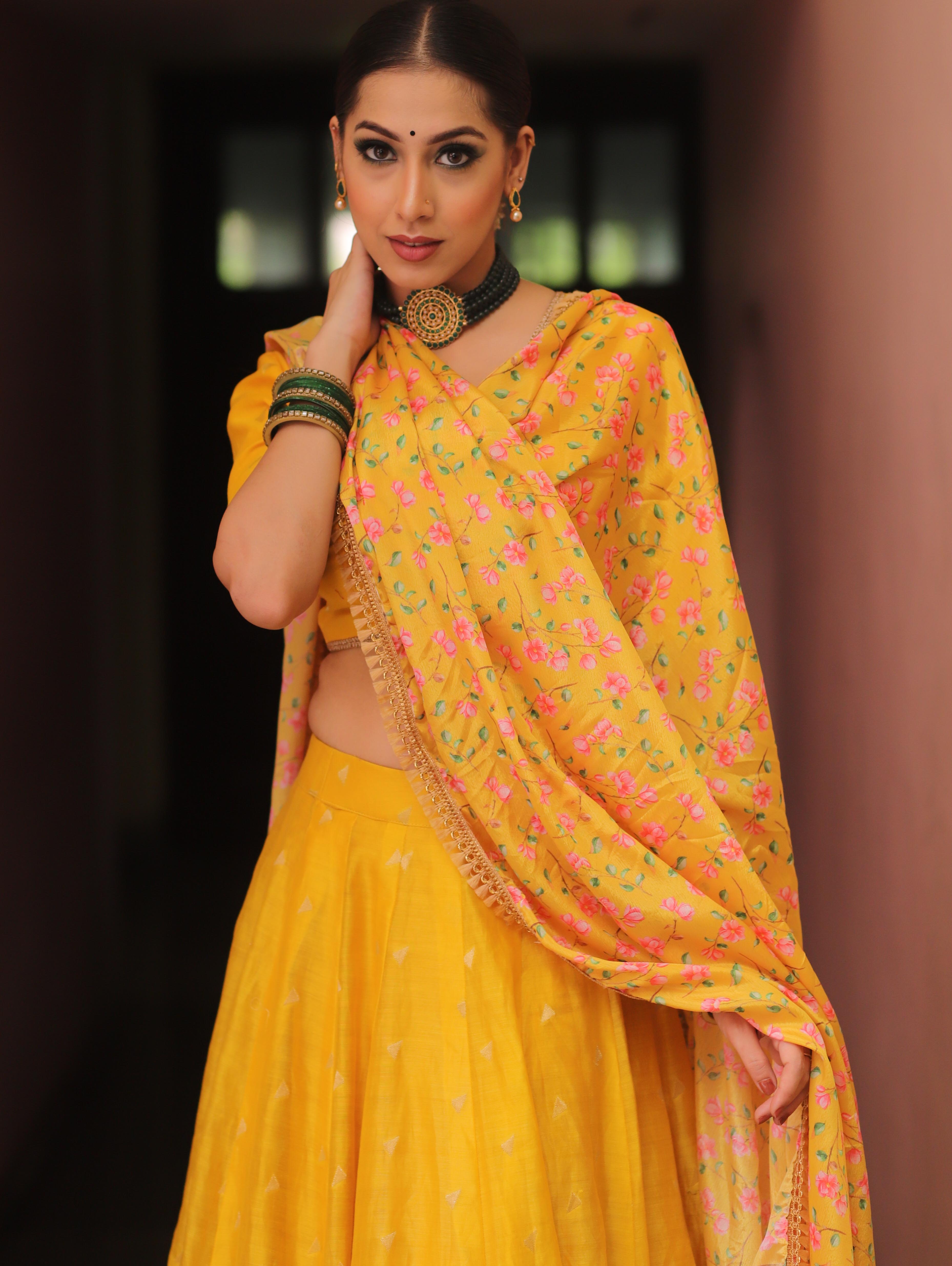 Handcrafted lehenga set