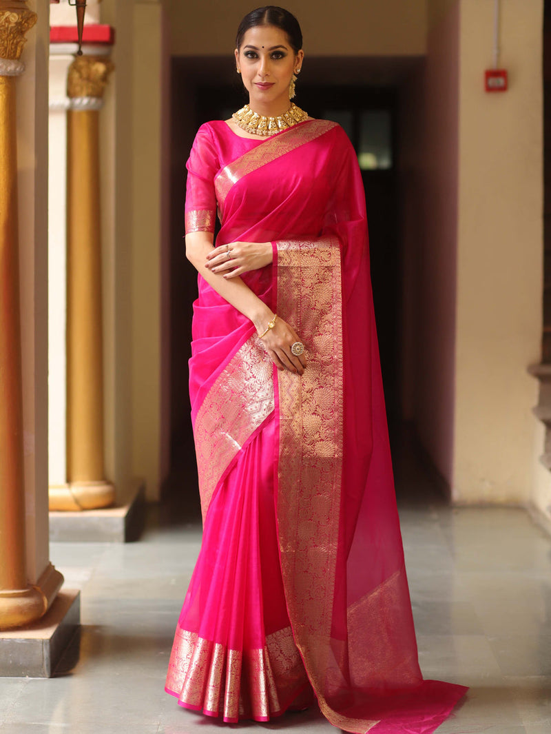Organza saree with zari border