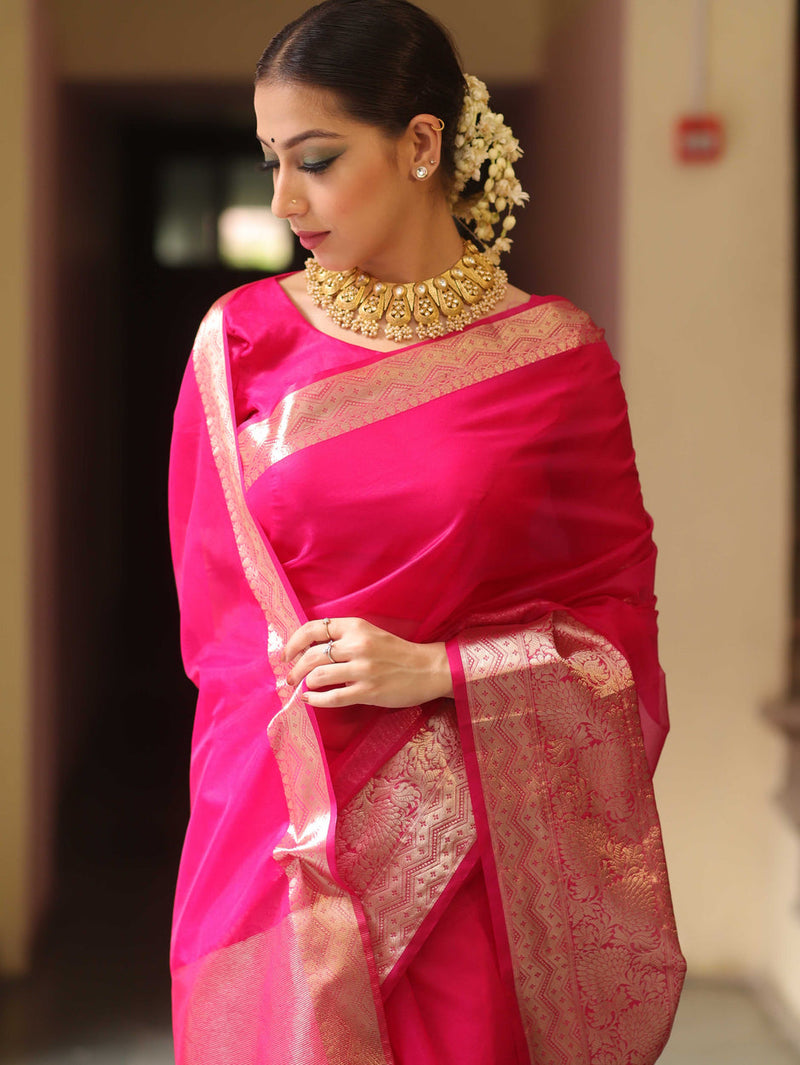 Festive organza saree