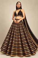 Black Gold Majesty Embroidered Designer Lehenga Set