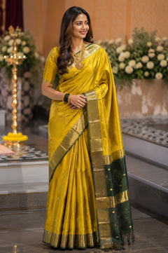 NAYANTARA PURE DIYA BUTTI MAHESHWARI SAREE