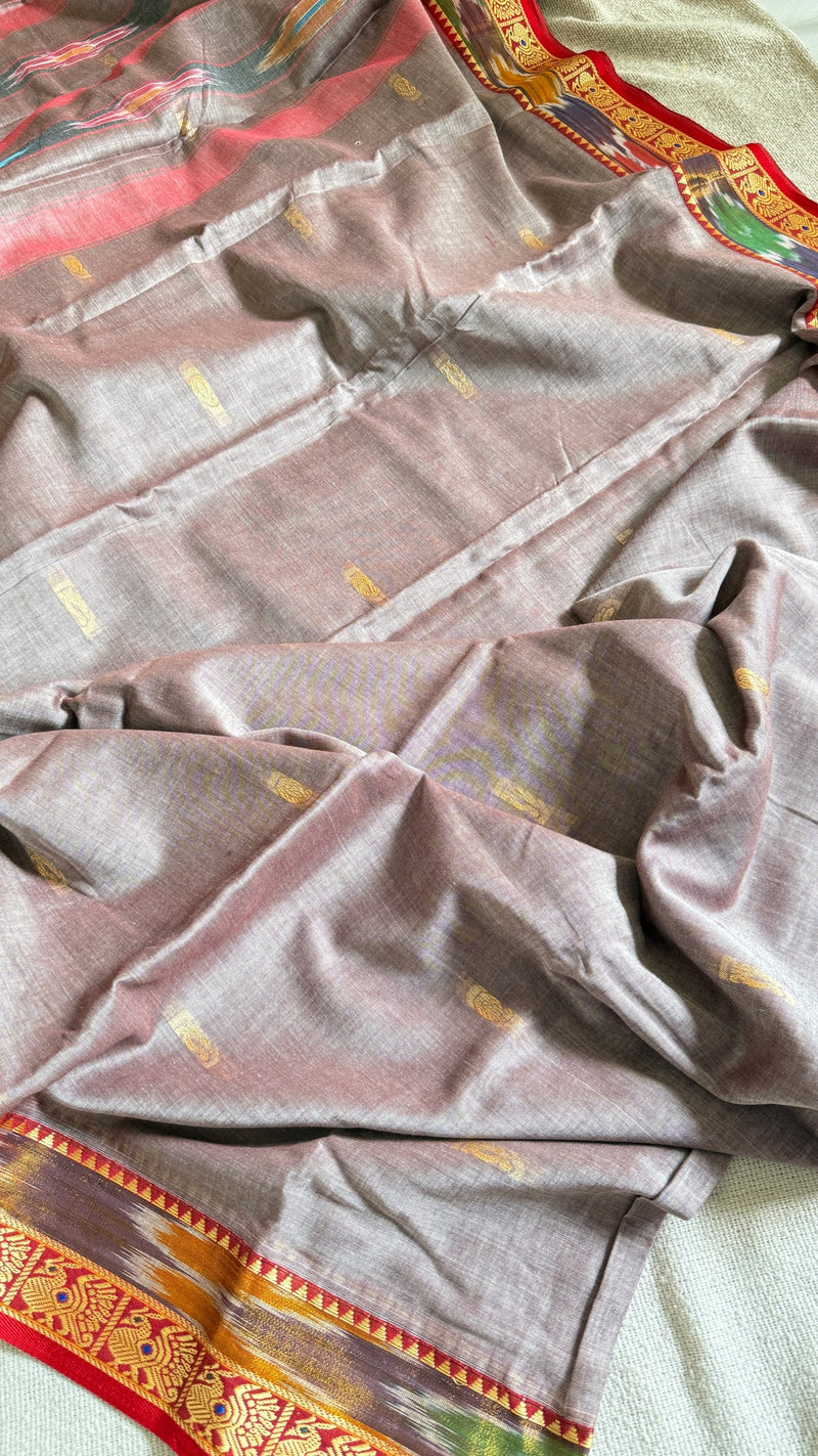 Rajsa Shahi Morpankh Cotton Saree