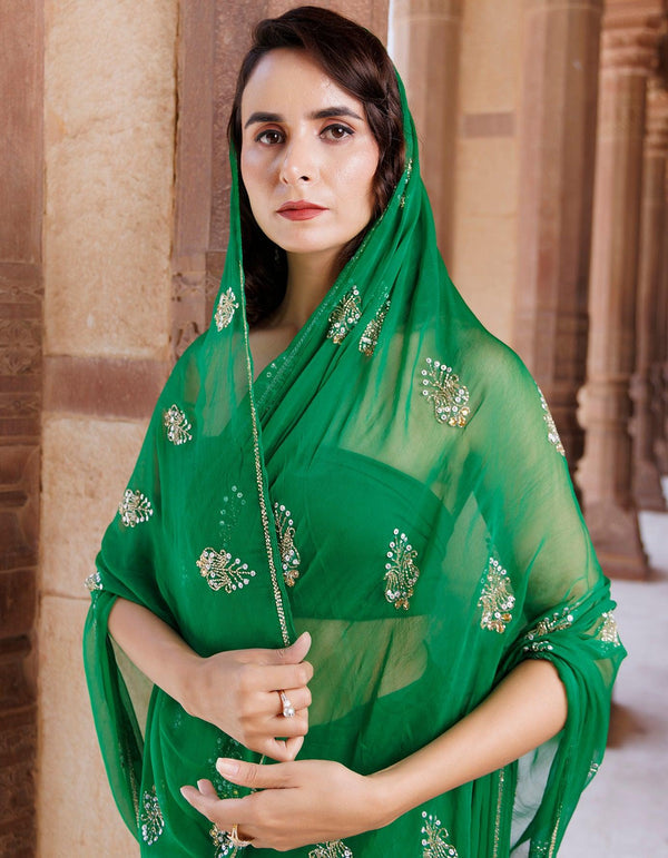 Green Hand Embroidered Chiffon Saree