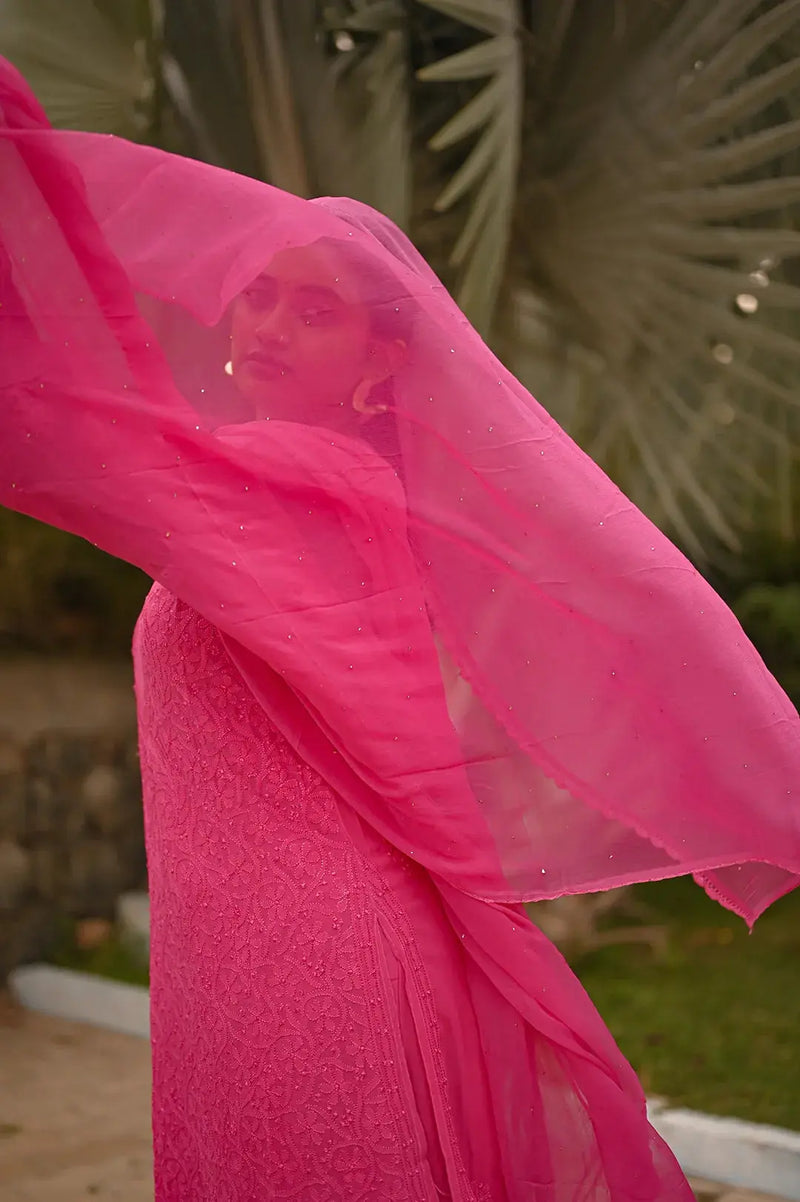 Traditional embroidered palazzo dress