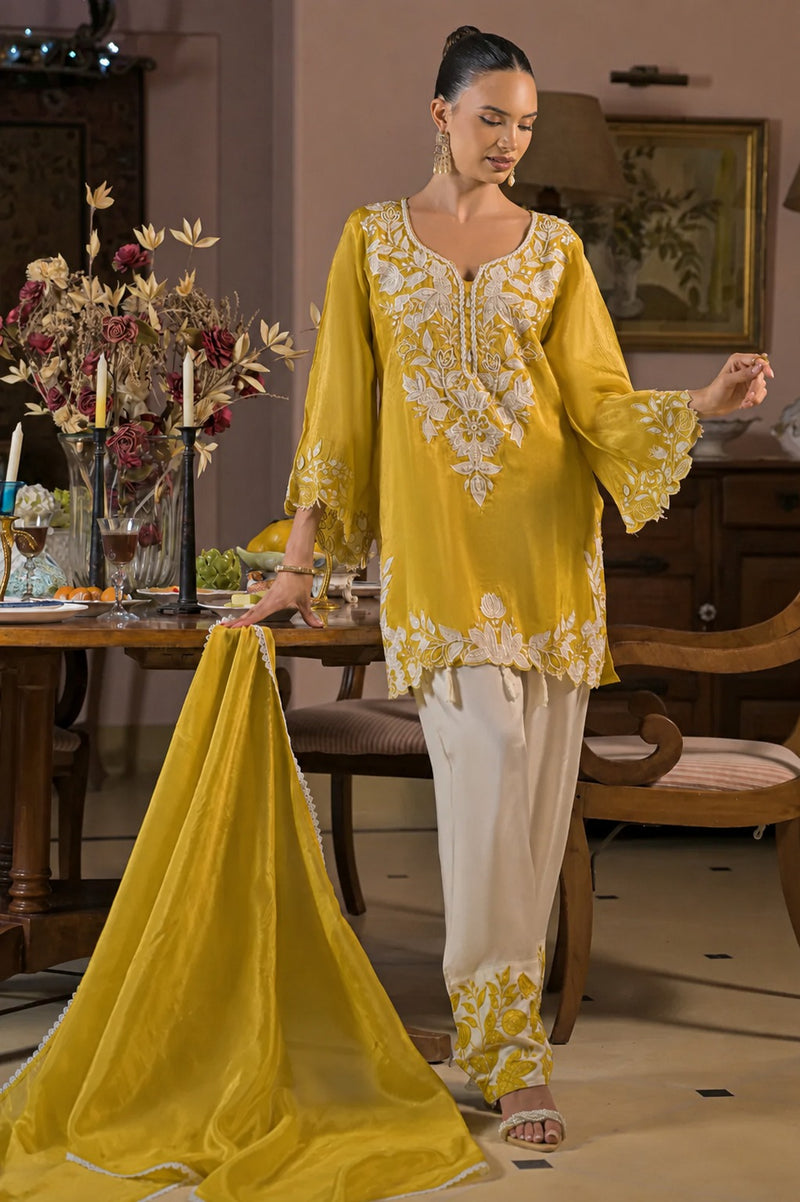 Kashvi Sunehri Embroidered Farshi Set