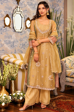 Sunehri Noor Tissue Anarkali Set