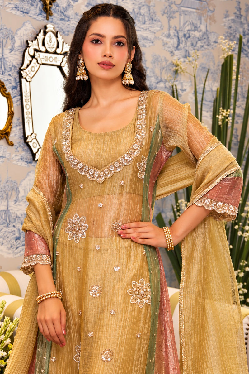 Sunehri Noor Tissue Anarkali Set