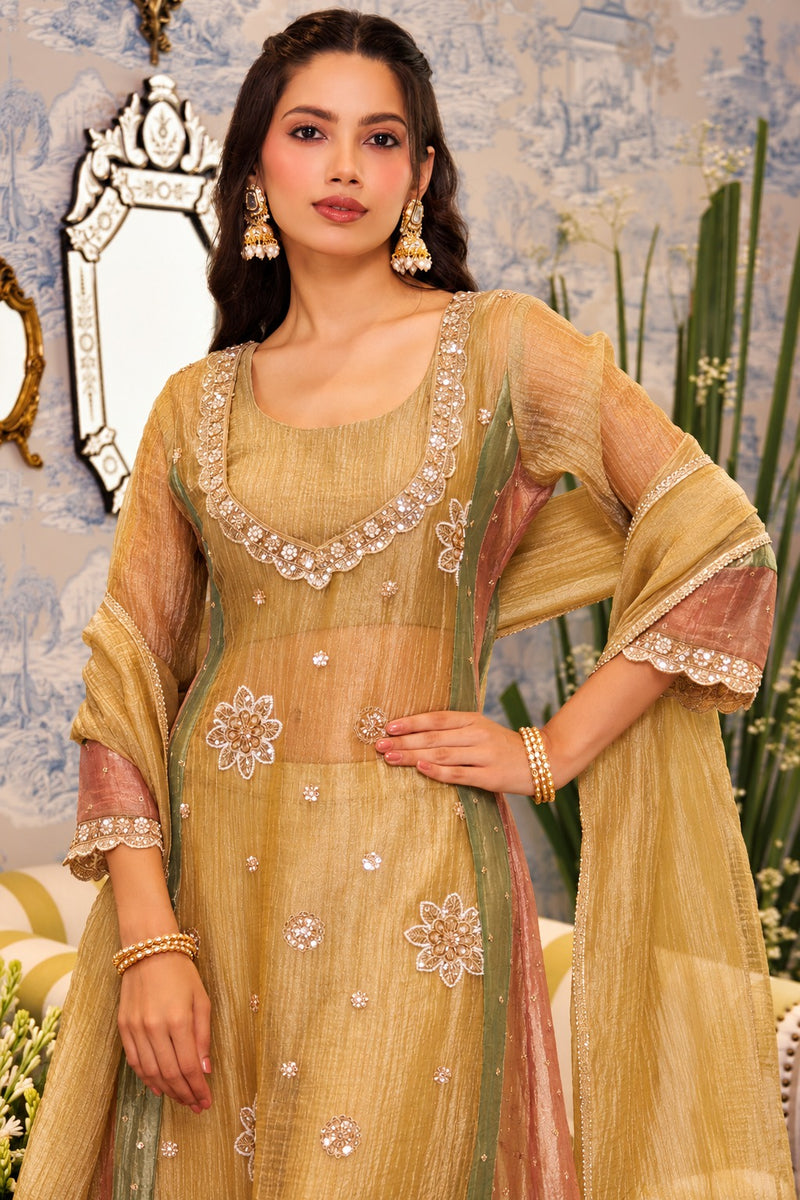 Sunehri Noor Tissue Anarkali Set