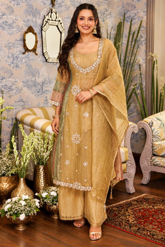 Sunehri Noor Tissue Anarkali Set
