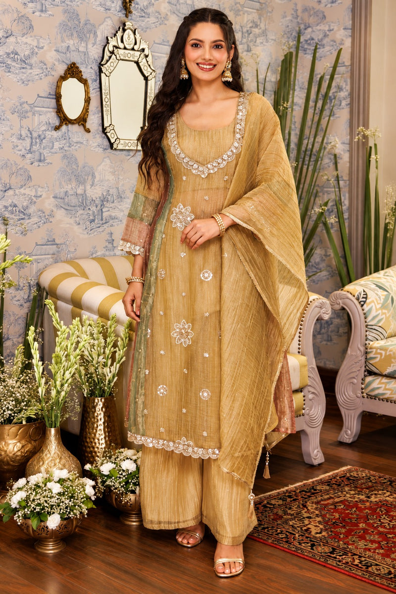 Sunehri Noor Tissue Anarkali Set
