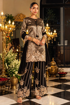 Siyah Shahi Embroidered Palazzo Set