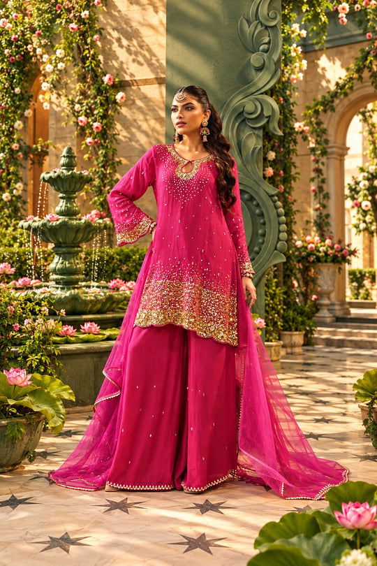 Rani Noor Embroidered Palazzo Set