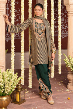 Shahi Emerald Stripe Salwar Set