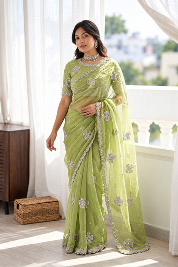 Pista Sitara Embellished Saree