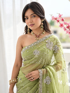 Pista Sitara Embellished Saree
