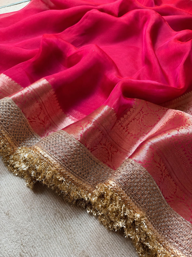 Champagne Riwaayat Ornate Border Banarasi Saree
