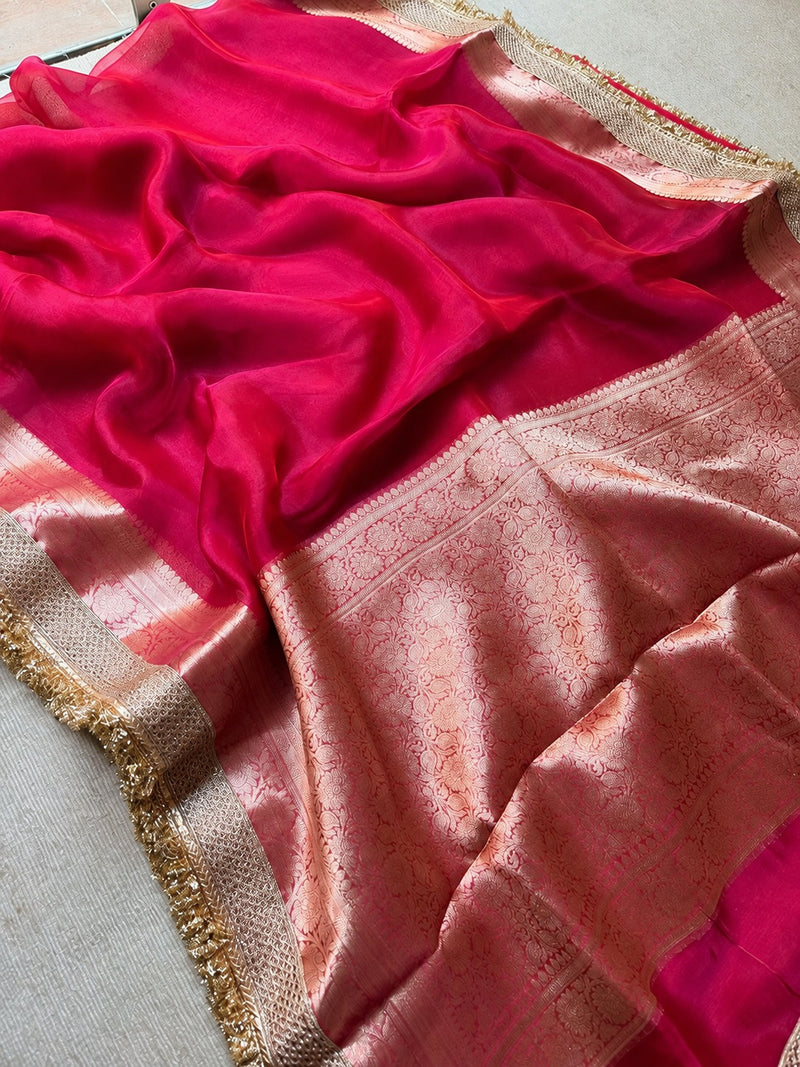 Champagne Riwaayat Ornate Border Banarasi Saree