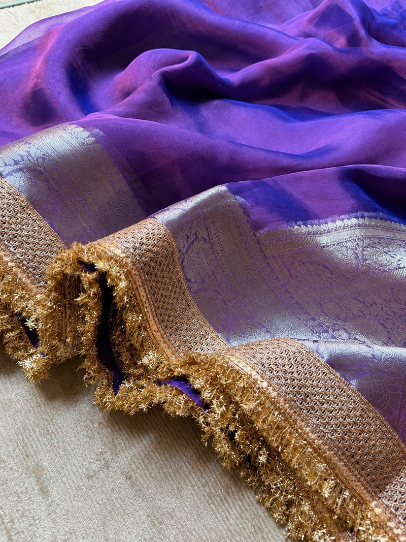 Champagne Riwaayat Ornate Border Banarasi Saree