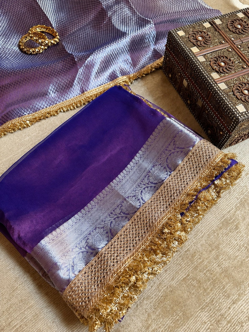 Champagne Riwaayat Ornate Border Banarasi Saree